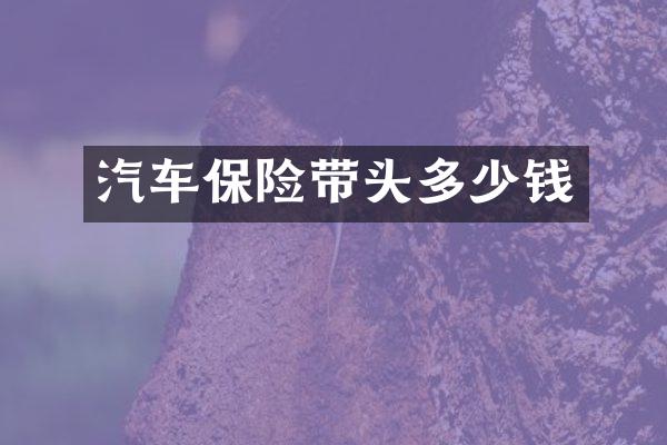 汽车保险带头多少钱