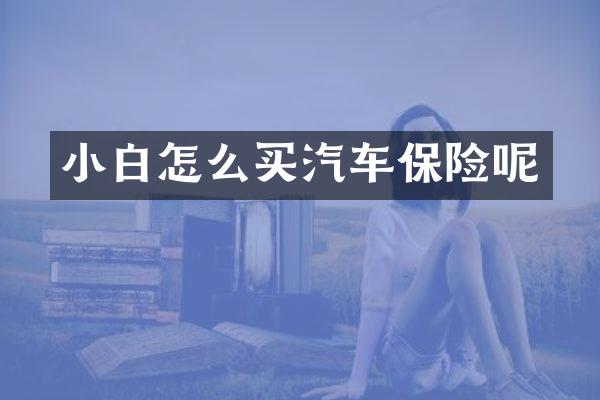 小白怎么买汽车保险呢