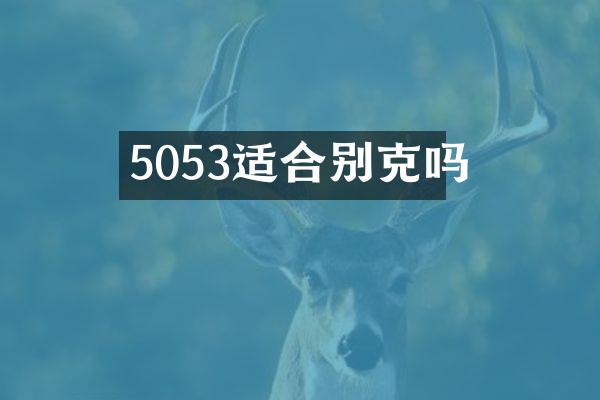 5053适合别克吗