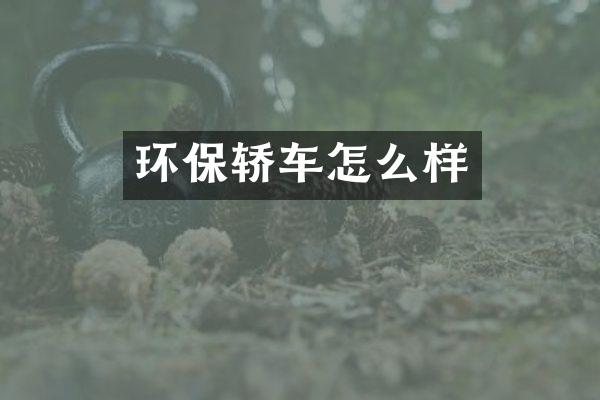 环保轿车怎么样