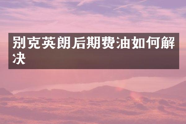 别克英朗后期费油如何解决