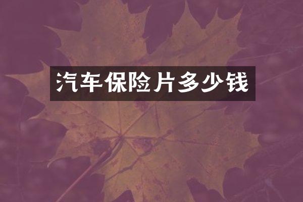 汽车保险片多少钱