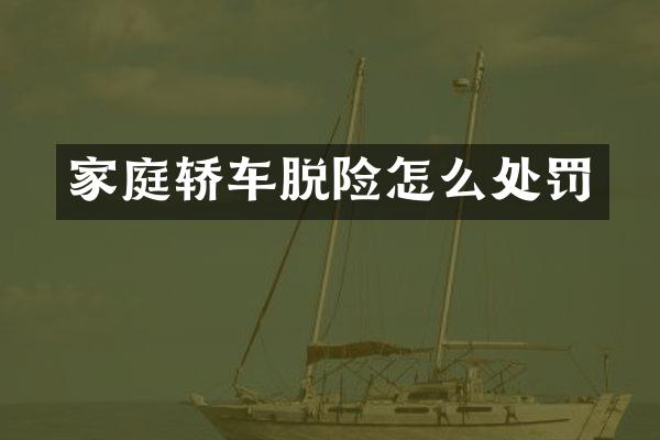 家庭轿车脱险怎么处罚