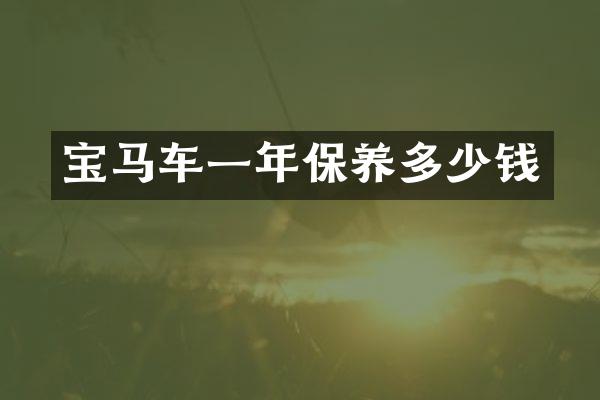 宝马车一年保养多少钱