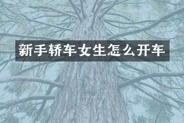 新手轿车女生怎么开车