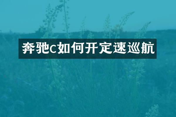 奔驰c如何开定速巡航