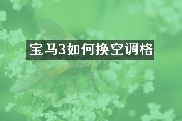 宝马3如何换空调格