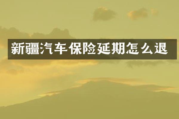 新疆汽车保险延期怎么退