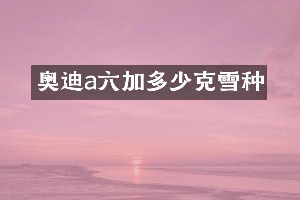 奥迪a六加多少克雪种