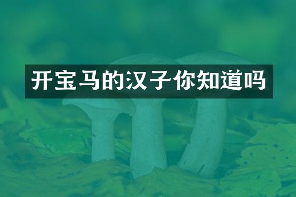 开宝马的汉子你知道吗