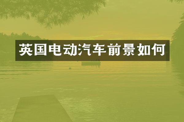 英国电动汽车前景如何