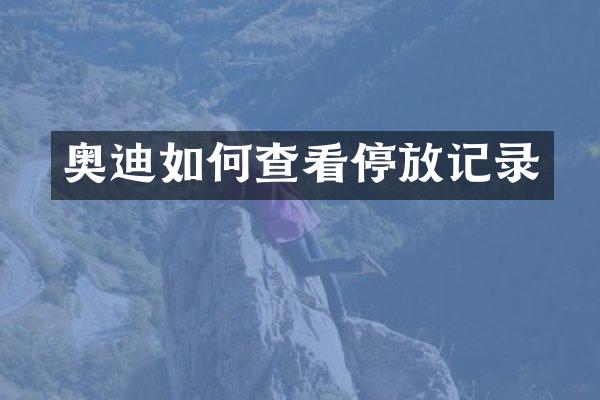 奥迪如何查看停放记录