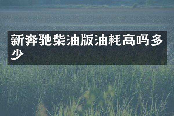 新奔驰柴油版油耗高吗多少