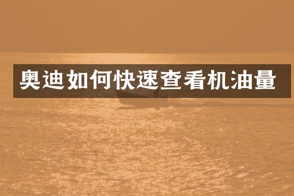 奥迪如何快速查看机油量
