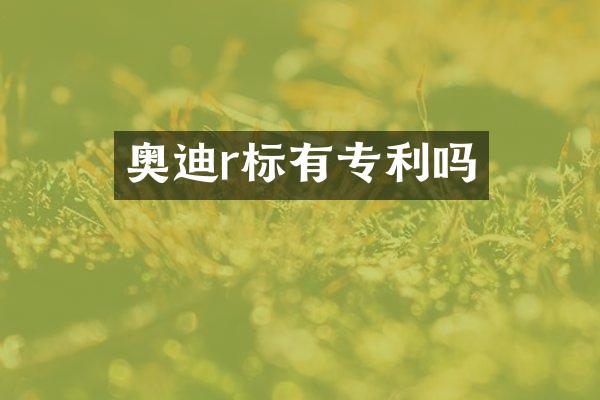 奥迪r标有专利吗