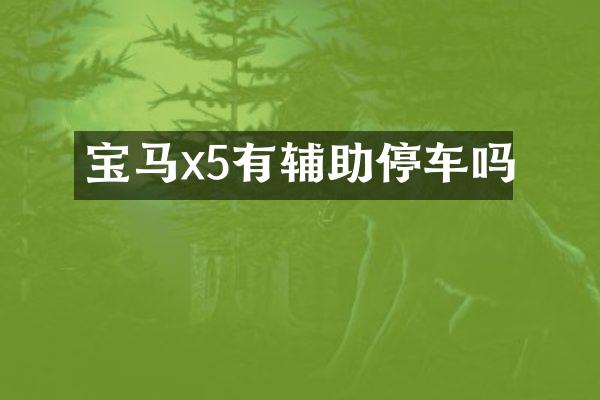 宝马x5有辅助停车吗