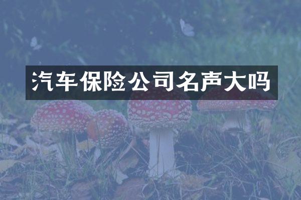 汽车保险公司名声大吗