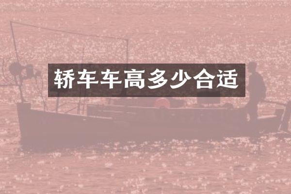 轿车车高多少合适