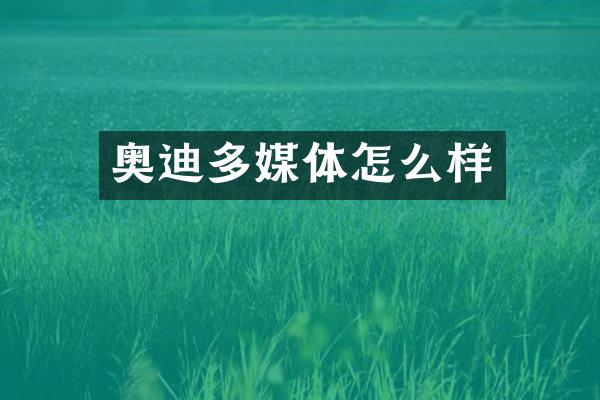 奥迪多媒体怎么样