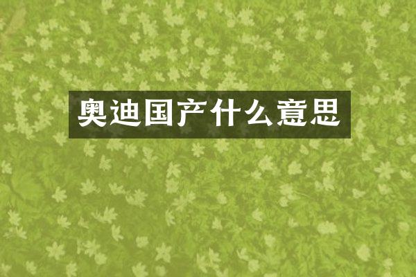 奥迪国产什么意思