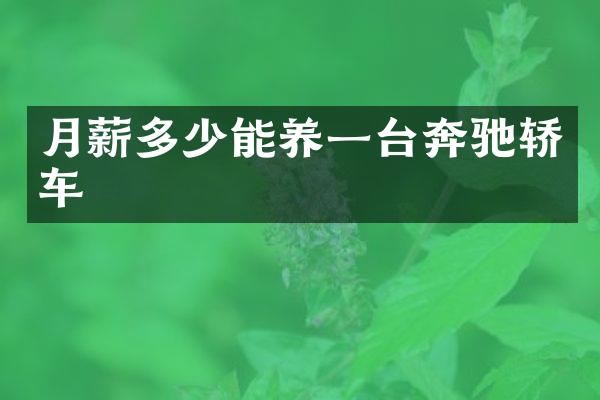 月薪多少能养一台奔驰轿车
