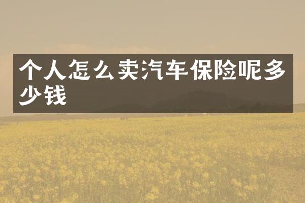 个人怎么卖汽车保险呢多少钱