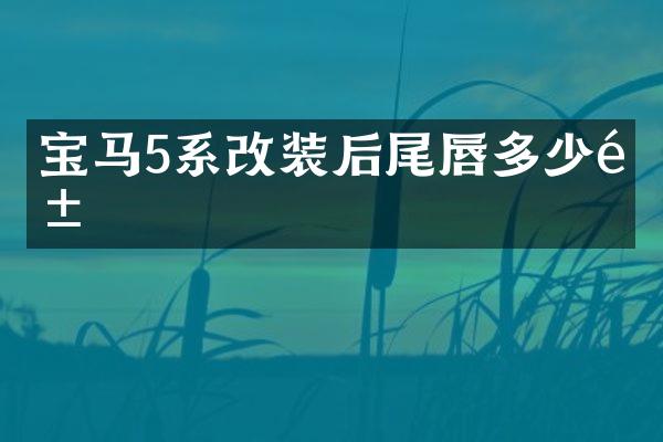 宝马5系改装后尾唇多少钱