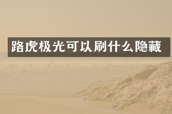路虎极光可以刷什么隐藏