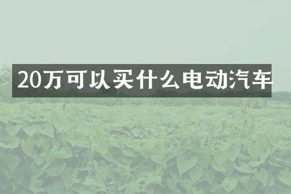 20万可以电动汽车