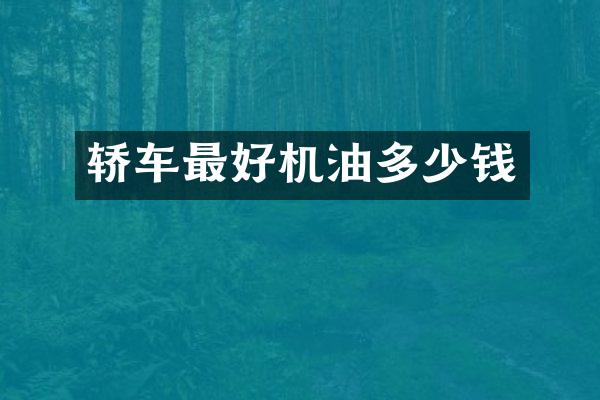 轿车最好机油多少钱