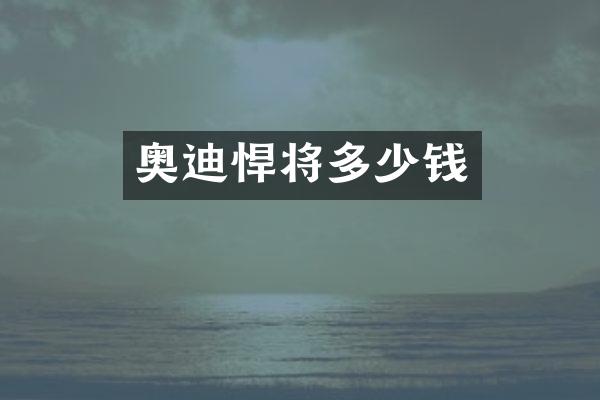 奥迪悍将多少钱