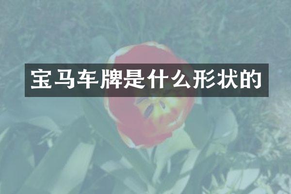 宝马车牌是什么形状的