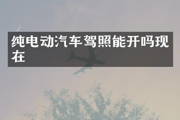 纯电动汽车驾照能开吗现在