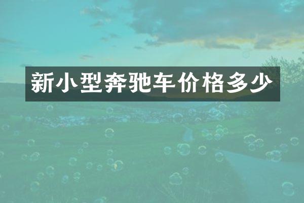 新小型奔驰车价格多少