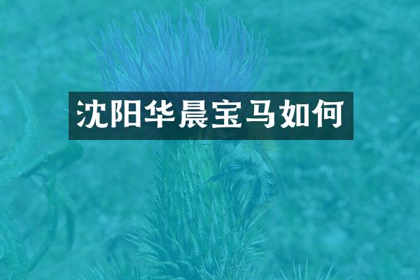 沈阳华晨宝马如何