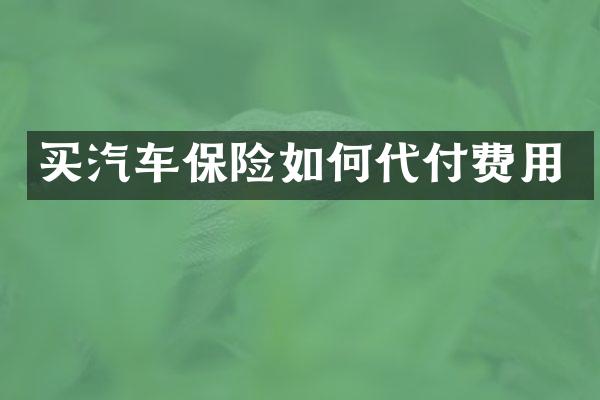 买汽车保险如何代付费用