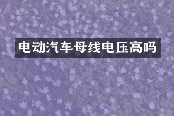 电动汽车母线电压高吗