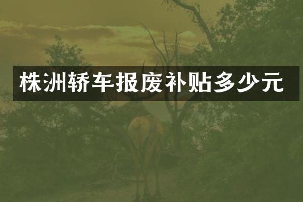 株洲轿车报废补贴多少元