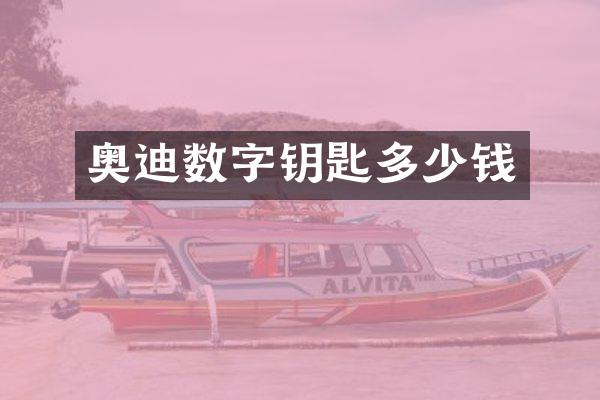 奥迪数字钥匙多少钱