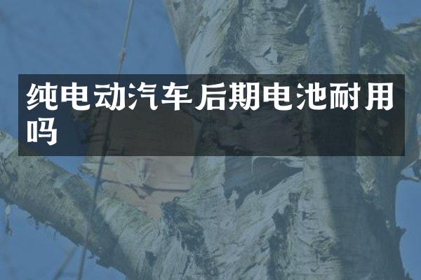 纯电动汽车后期电池耐用吗