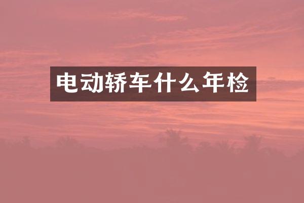电动轿车什么年检