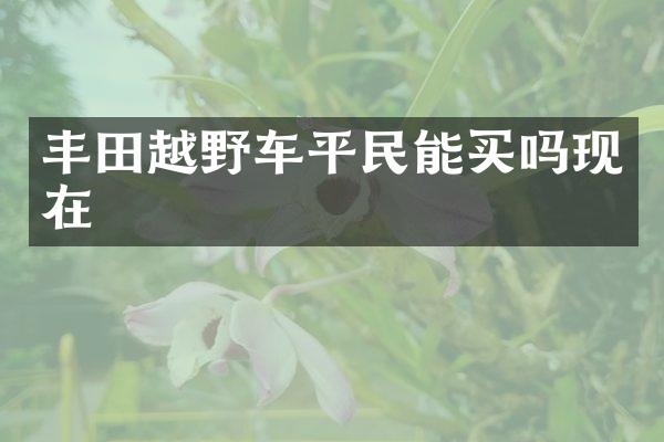 丰田越野车平民能买吗现在