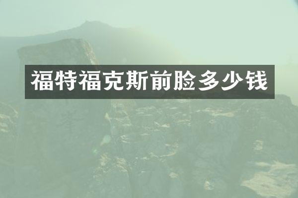 福特福克斯前脸多少钱