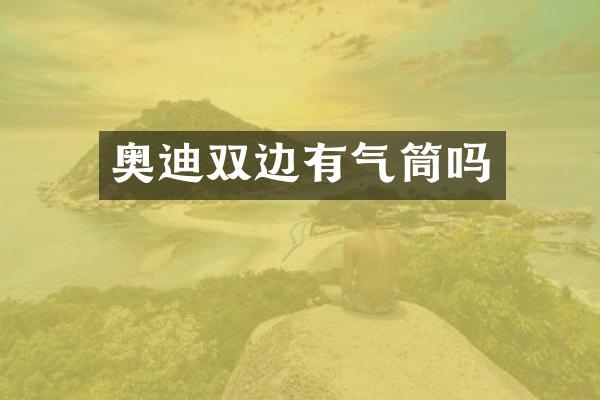 奥迪双边有气筒吗