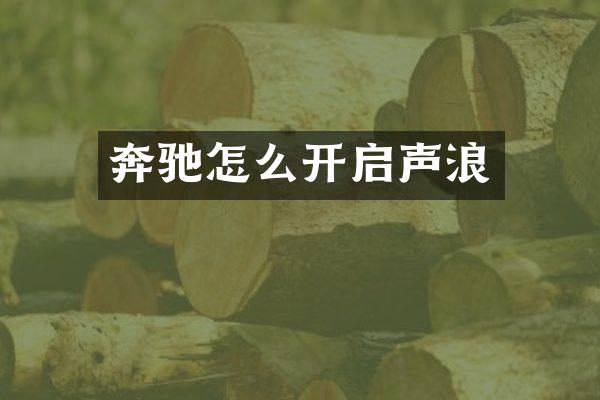 奔驰怎么开启声浪