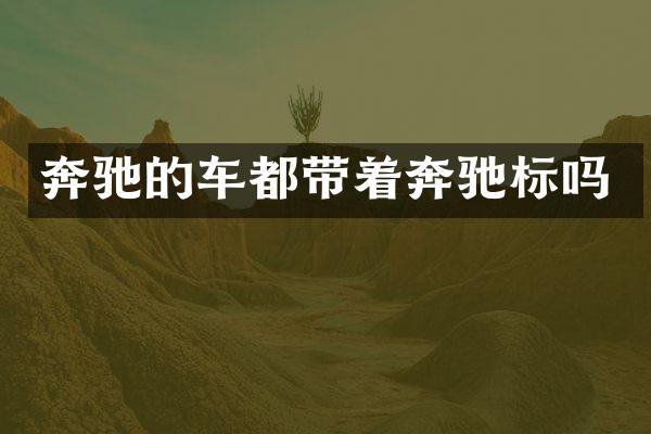 奔驰的车都带着奔驰标吗