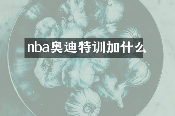 nba奥迪特训加什么