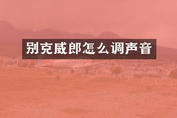 别克威郎怎么调声音