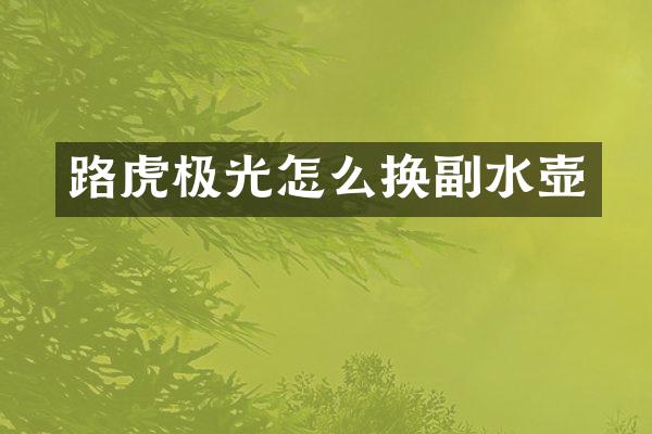 路虎极光怎么换副水壶