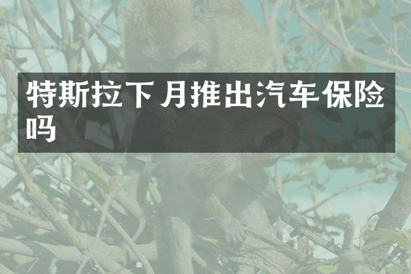 特斯拉下月推出汽车保险吗